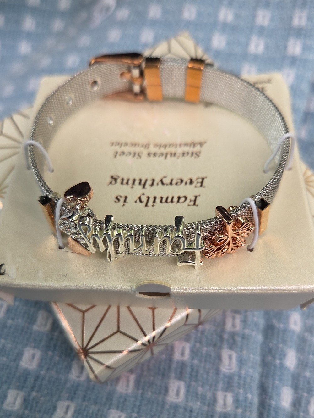 Shine Two Tone SS Mesh Adjustable Bracelet With A Family Inscription. NIB
